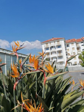 Mare Verde San Bartolomeo Al Mare